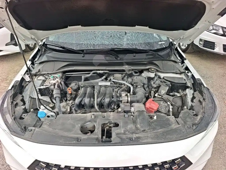 Honda XR-V