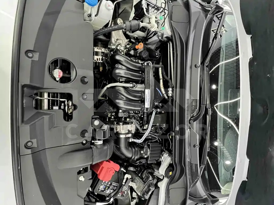 Honda XR-V