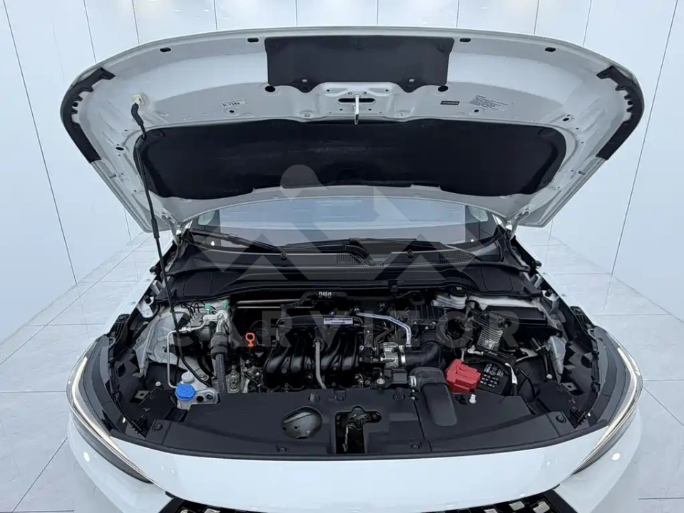 Honda XR-V