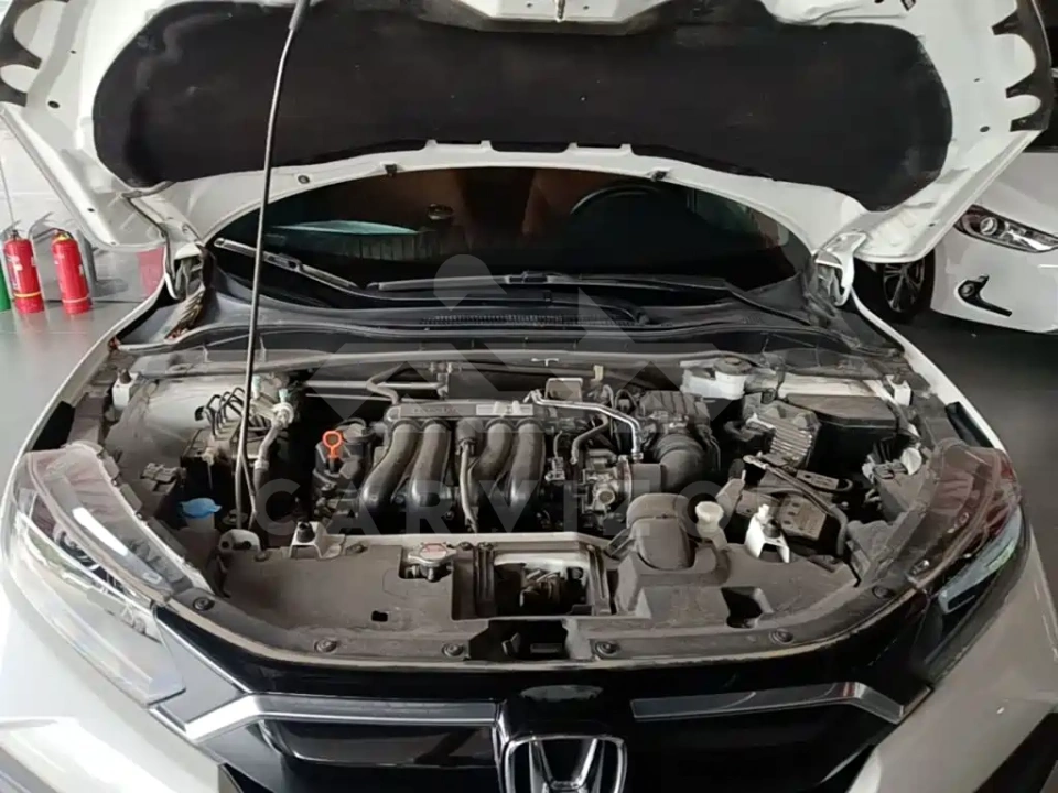 Honda XR-V