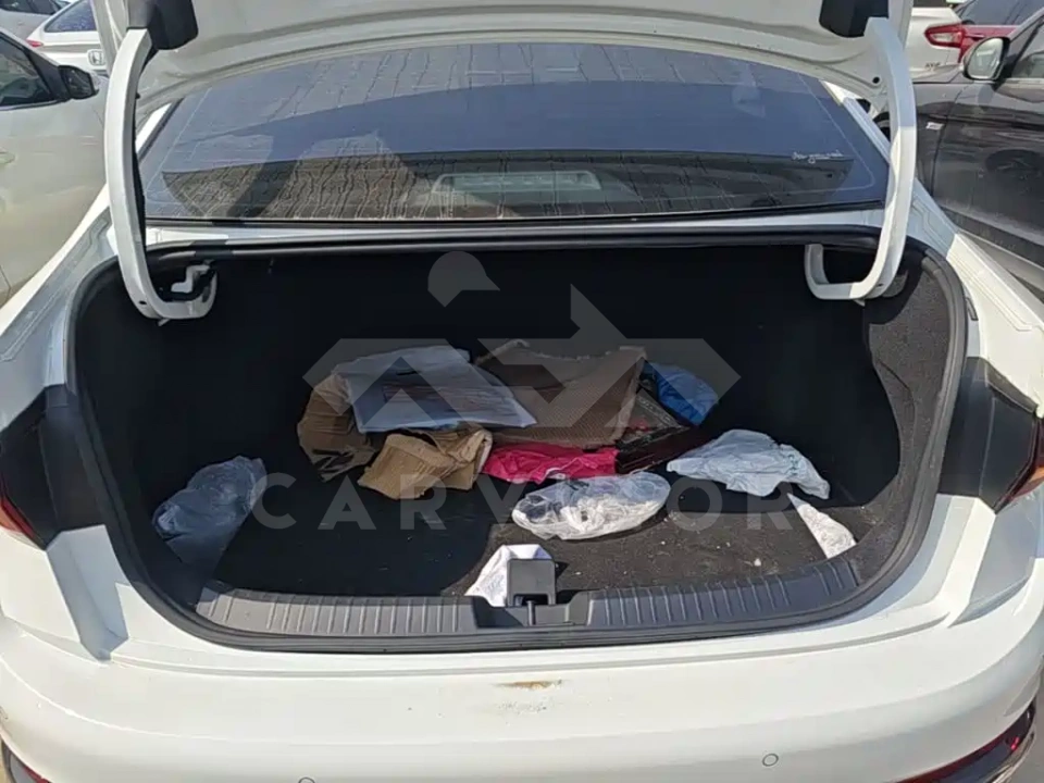 Volkswagen Sagitar